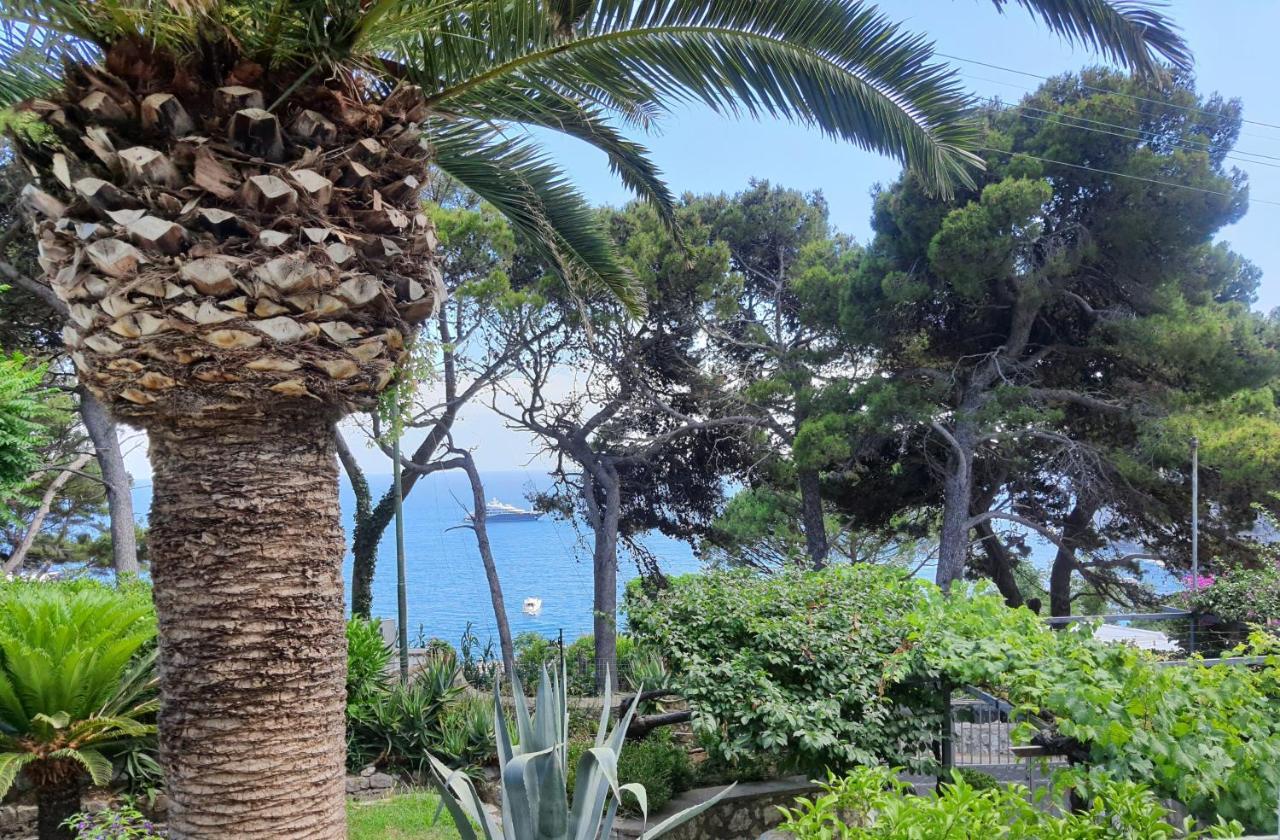 Hotel Nautilus Capri Eksteriør billede